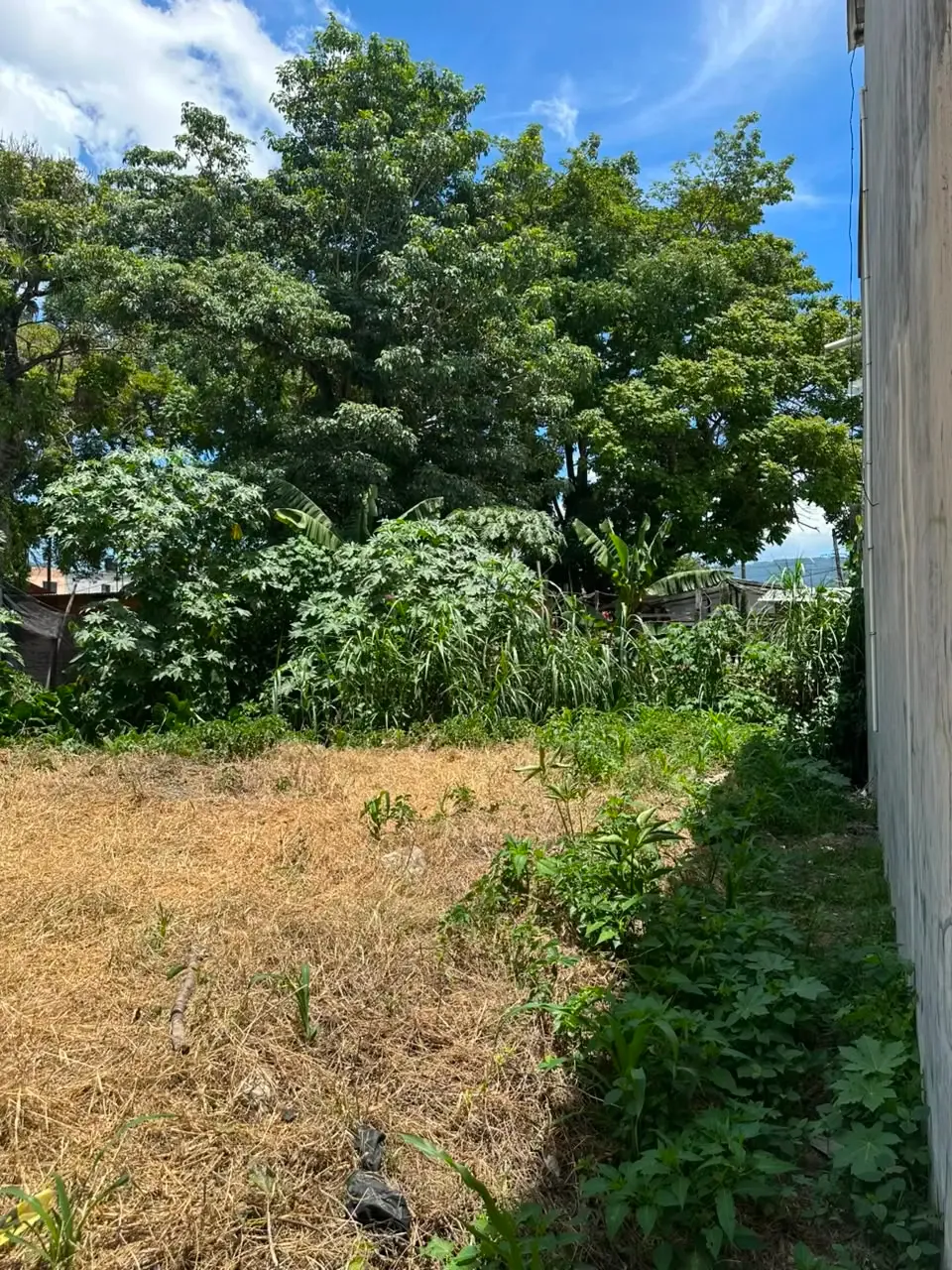 Amplitud del terreno en Barrio Linda Vista